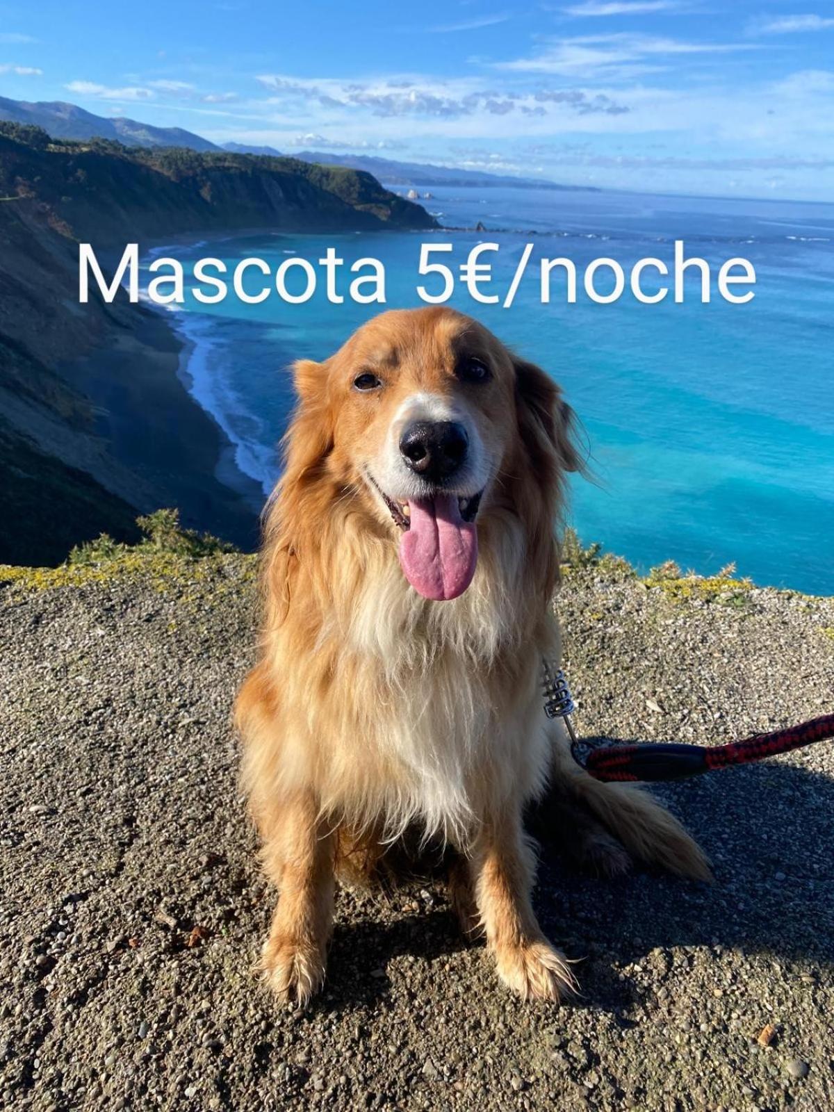 El Desvan Del Chisco Cudillero Dış mekan fotoğraf